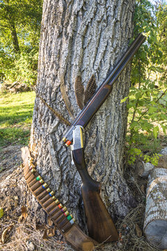 Hunting gun, hunting belt, pheasant feathers outdoors in front of tree