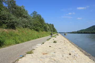 Donauradweg unterhalb des Kraftwerks Greifenstein im Mai 2016