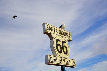 route66