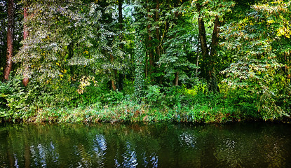 Bavaria countryside, woodland, vegetation and foliage on the river bank