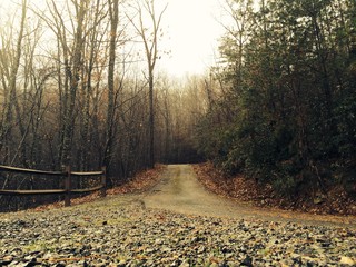 Naklejka premium Country road 