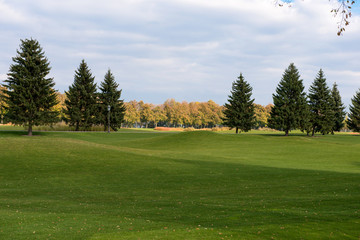 Fototapeta na wymiar Park with a golf course