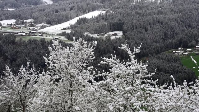 Wintereinbruch in den Alpen - first snow