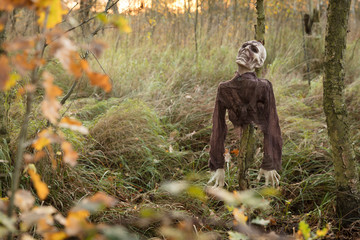 Zombie im Moor
