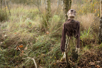Zombie im Moor