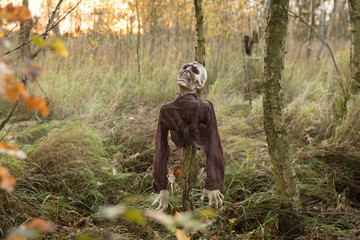 Zombie im Moor