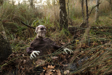 Zombie im Moor