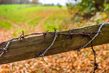 barb wire fence