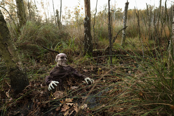 Zombie im Moor