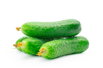 cucumber isolated