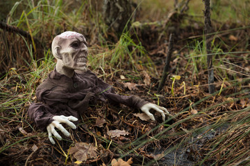 Zombie im Moor