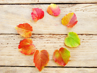 Fototapeta premium On a wooden texture arranged flowers and leaves.