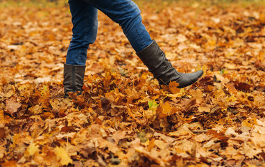 woman legs on autumn leaves in forest