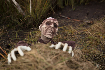 Zombie im Moor