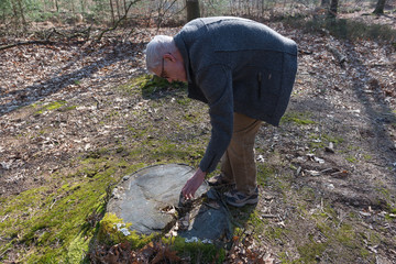 man counts tree rings of a stump in a wood - obrazy, fototapety, plakaty