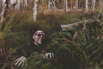 Zombie im Moor