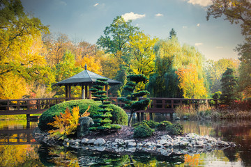 japanese garden in autumn - obrazy, fototapety, plakaty