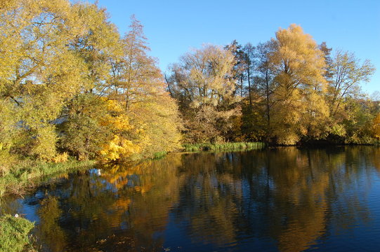 I vattenspegeln