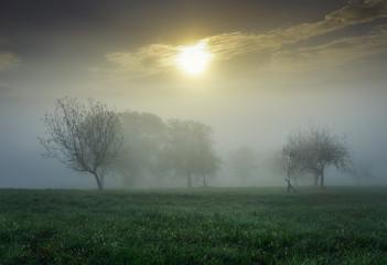 Fototapeta na wymiar Nebel Landschaft im Herbst