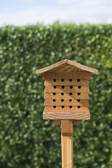little house for insects