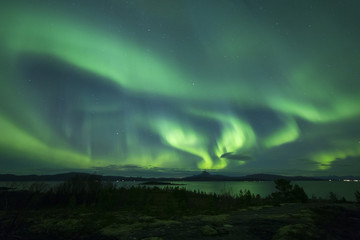 Fototapeta premium green aurora across nightsky