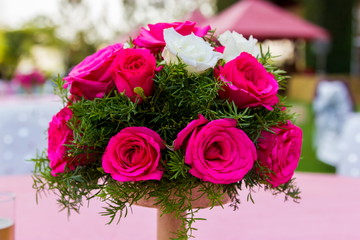 A rose is a woody perennial flowering plant of the genus Rosa, in the family Rosaceae, or the flower it bears. There are over a hundred species and thousands of cultivars.