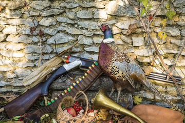 Hunting gun, hunting belt, hunting horn,colorful pheasant outdoors in front of old wooden wall