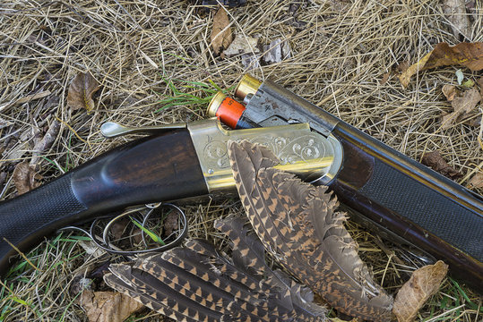 Hunting gun, partridge feathers on dry grass close up