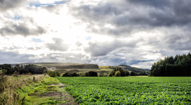 beautiful scottish landscape