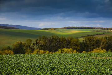 autumnal landscape - Europe, Czech Republic , Moravia, Kyjov