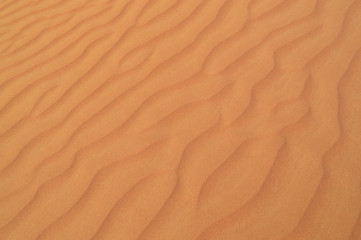 Fototapeta na wymiar the texture of the sand