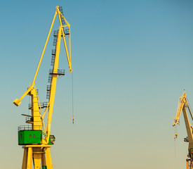 Naklejka premium Lonely crane in port.