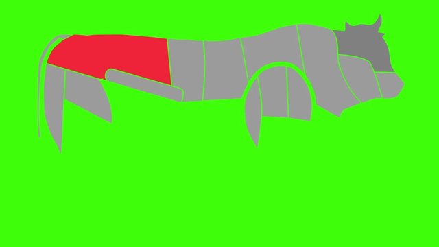 Diagrams Of Cow Body Parts Anatomy for Cuisine Purposes on a Green Screen Background