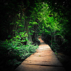 Fototapeta na wymiar Fantasy jungle deep forest in dark colors. Wooden road path way through tropical trees. Concept landscape for mysterious background