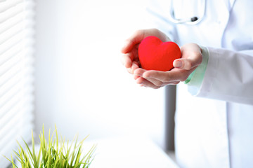 Close up of unknown female doctor with stethoscope holding heart near the window in hospital