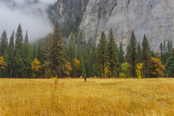 A photographer stands at El Capitan Meadow, Yosemite National Park.