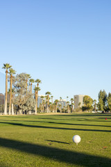 Golf Course Field