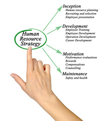 Human Resource Strategy.