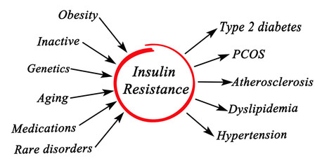 Insulin Resistance - obrazy, fototapety, plakaty