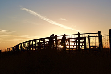 Naklejka premium Cyclists at Sunset-a silhouette of a pair of cyclists crossing a footbridge at sunset