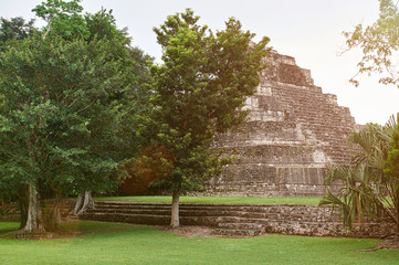 mayan ruin pyramid