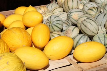 Melons canaris et charentais au marché - obrazy, fototapety, plakaty
