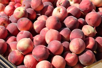 Pêches au marché