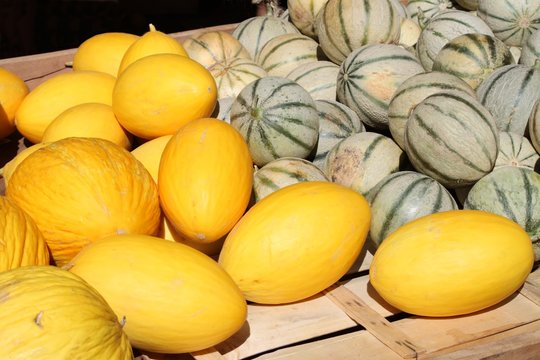 Melons canaris et charentais au marché