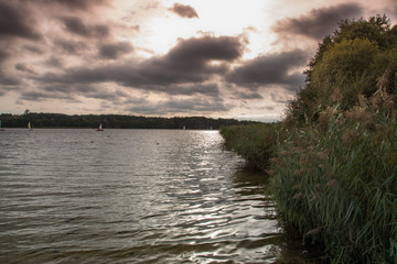 Frensham Lake