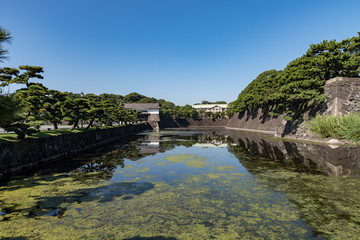 Fototapeta na wymiar 皇居の風景