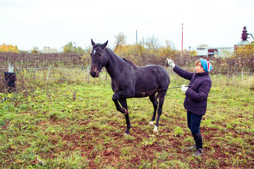 Horse and girl outdoors in an autumn day