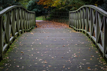 Over the Wooden Bridge