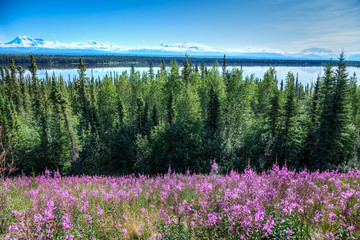 Mt. Wrangell as seen from the Edgerton Highway, which skirts the Wrangell-St. Elias National Park in Alaska.