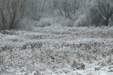 Zimowy obrazek 2 © Tomek Kiecana